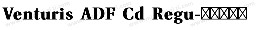 Venturis ADF Cd Regu字体转换